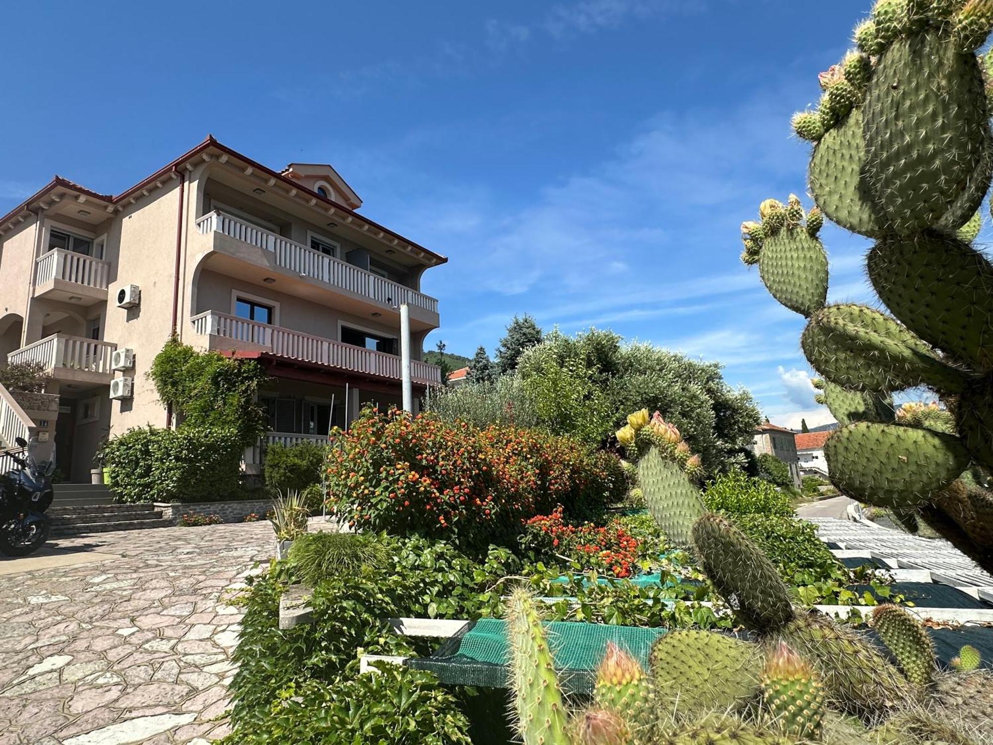 Vila Jadranka Apartments Herceg Novi Bagian luar foto